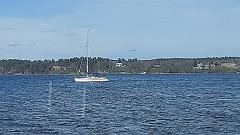 Stockholm (141)